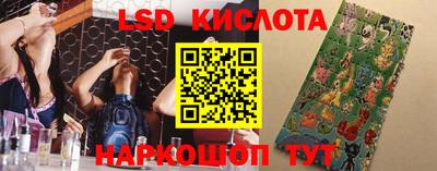 эйфоретик Сланцы