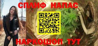 прущие грибы Славянск-на-Кубани