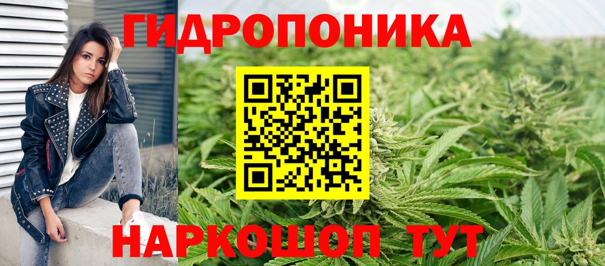 Бошки Шишки семена  МАРИХУАНА сатива  Бошки Шишки White Widow  Вход с VPN  Нижнеудинск 